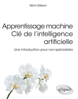 Apprentissage machine - Clé de l'intelligence artificielle - Une introduction pour non-spécialistes