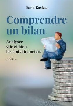 Comprendre un bilan - Analyser vite et bien les états financiers