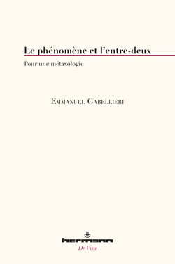 Le phénomène et l'entre-deux - Pour une métaxologie