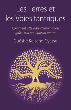 Les Terres et les Voies tantriques - Comment s'engager dans la voie vajrayana et la mener à terme