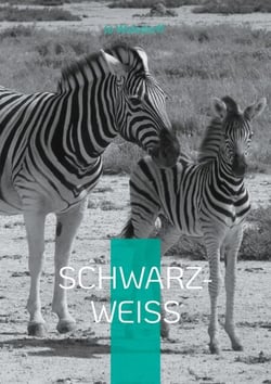 Schwarz-Weiß - Reise in Afrika