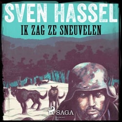 Ik zag ze sneuvelen