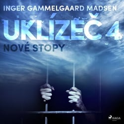 Uklízec 4: Nové stopy