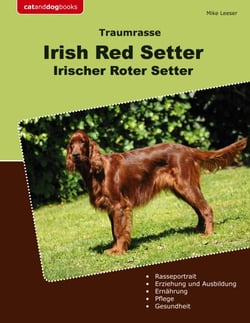 Traumrasse Irish Red Setter - Irischer Roter Setter
