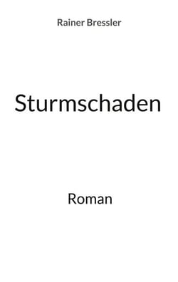 Sturmschaden - Roman