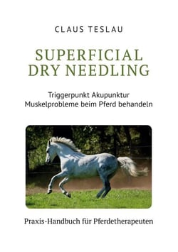 Superficial Dry Needling - Triggerpunkt Akupunktur und Myofasziale Tiefenmassage, Stresspunktmassage, Therapeutische Synergie