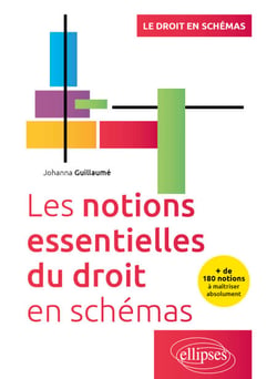 Les notions essentielles du droit en schémas - + de 180 notions à maîtriser absolument