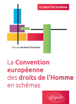 La Convention européenne des droits de l'Homme en schémas - A jour au 30 avril 2024