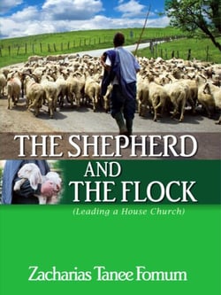 The Shepherd and the Flock (Leading a House Church) - Leading God's people, #10