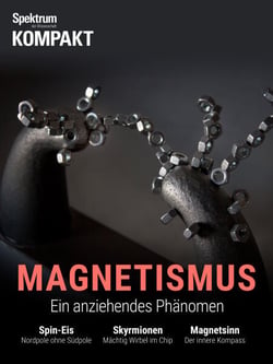 Spektrum Kompakt - Magnetismus - Ein anziehendes Phänomen
