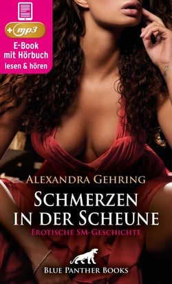 Schmerzen in der Scheune | Erotik SM-Audio Story | Erotisches SM-Hörbuch - Ich will dich benutzen