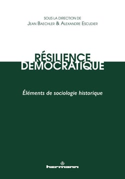 Résilience démocratique - Éléments de sociologie historique