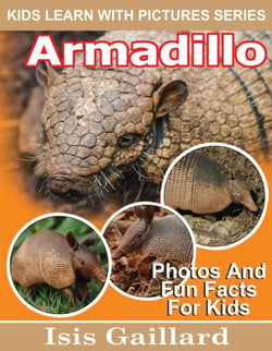 Armadillo Photos and Fun Facts for Kids - Kids Learn With Pictures, #103