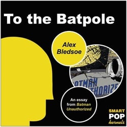 To the Batpole - An Essay/Parody on Batman