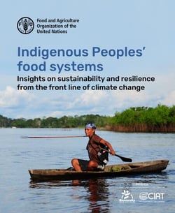 Indigenous Peoples’ Food Systems: Insights on Sustainability and Resilience from the Front Line of Climate Change