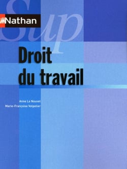 Droit du travail - Ouvrage numérique pdf