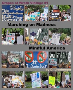 Marching On Madness, Mindful America - Grapes of Wrath Vintage, #1