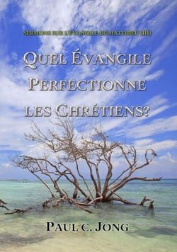 Sermons Sur L'évangile De Matthieu (?) - Quel Évangile Perfectionne Les Chrétiens?