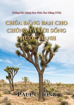 Nh?ng Bài Gi?ng theo Phúc Âm Giang (VIII) - Ch?a Ðang ban cho chúng ta Ð?i S?ng Phu?c H?nh