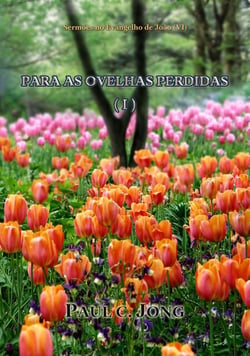 Sermões no Evangelho de João (VI)  - Para as Ovelhas Perdidas (I)