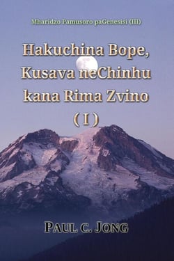 Mharidzo Pamusoro paGenesisi (III) - Hakuchina Bope, Kusava neChinhu kana Rima Zvino (I)