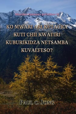 Mharidzo Pamusoro paVaEfeso (I) - Ko Mwari ari Kutaura Kuti Chii Kwatiri Kuburikidza Netsamba Kuvaefeso?