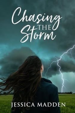 Chasing The Storm - Storm Chasers, #1