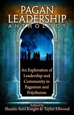 The Pagan Leadership Anthology - An Exploration of Leadership and Community in Paganism and Polytheism