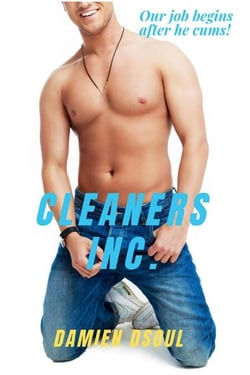 Cleaners Inc.