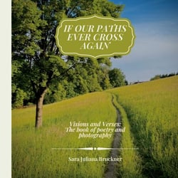 If Our Paths Ever Cross Again - Vision and Verses: The book of poetry and photography