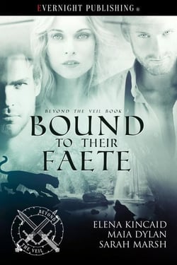 Bound to Their Faete - Beyond the Veil, #3