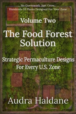 The Food Forest Solution: Strategic Permaculture Designs For Every US Zone - The Food Forest Solution, #2