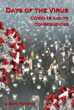 Days of the Virus: COVID-19 and its Consequences
