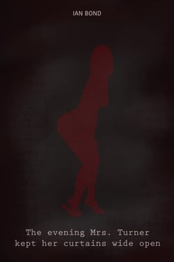 The Evening Mrs. Turner Kept Her Curtains Wide Open
