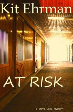 At Risk - Steve Cline Mysteries, #1