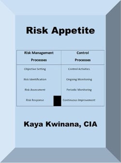 Risk Appetite