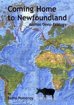 Coming Home to Newfoundland:  Animal Deep Ecology