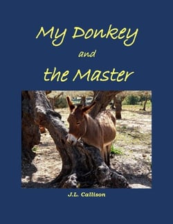 My Donkey and the Master