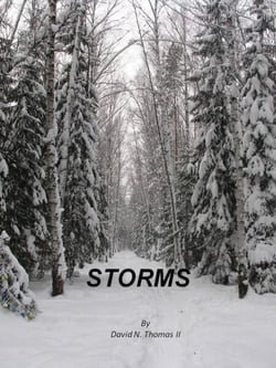 Storms - Steven Thomas, #4