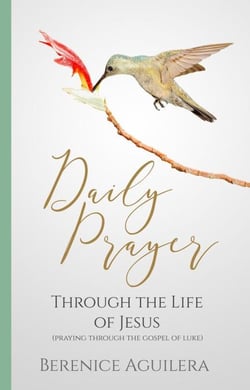 Daily Prayer through the Life of Jesus (Praying through the Gospel of Luke) - Daily Prayer