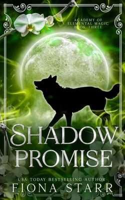Shadow Promise - Academy of Elemental Magic, #3