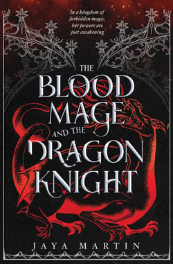 The Blood Mage and the Dragon Knight