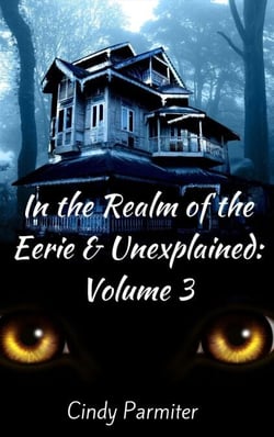 In the Realm of the Eerie &amp; Unexplained: Volume 3 - In The Realm of the Eerie &amp; Unexplained, #3