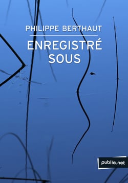 Enregistré sous... - Le sentiment de marcher sur l’échine d’un animal préhistorique.
