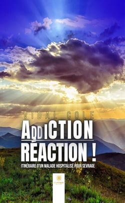 Addiction-Réaction ! - Itinéraire d’un malade hospitalisé pour sevrage