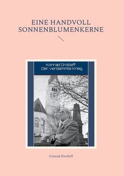 Eine Handvoll Sonnenblumenkerne