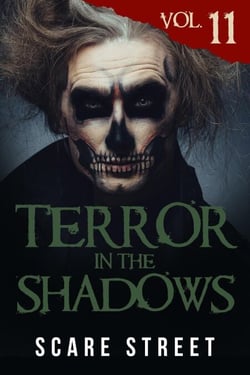 Terror in the Shadows Vol. 11 - Terror in the Shadows, #11