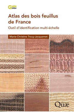 Atlas des bois feuillus de France - Outil d'identification multi-échelle