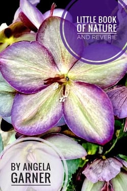 Little Book of Nature and Reverie - Little Book, #3