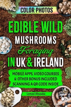 Edible Wild Mushrooms Foraging  in UK &amp; Ireland